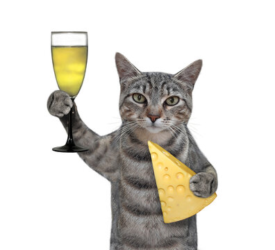 A gray cat is holding a glass of wine and a piece of cheese with holes. White background. Isolated.