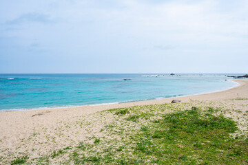 Fototapeta premium 奄美大島の海