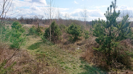 Dzika natura wiosną.   © WalDec