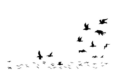 The Bird drawing is made with colored pencils and black liner.