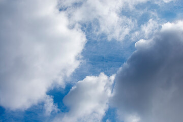 Spring contrasting clouds as background.