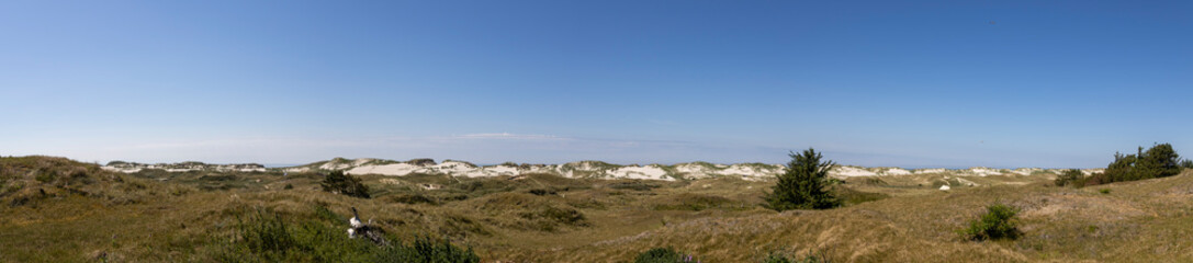 Fototapeta na wymiar Amrum Panorama in den Dünen