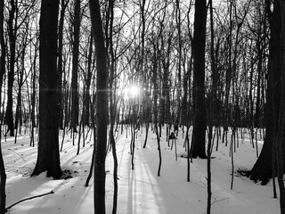 Winterliche Stimmung