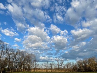 Blue Sky Landscape on Backyard