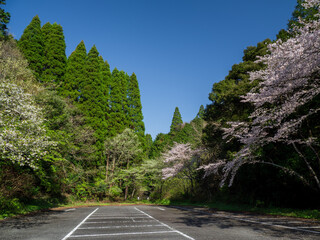 快晴の千葉県大多喜町の大多喜城駐車場　3月