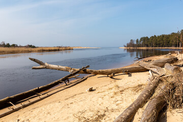 Fototapeta na wymiar Coastal scene at the river Gauja flowing into the Baltic sea with surrounding fallen trees and reeds in spring in March 2021 in Carnikava in Latvia