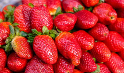 Fresh Red Strawberry fruit on display in local markets.