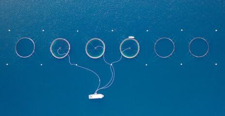 Salmon fish farming in Norway sea. Food industry, traditional craft production, environmental conservation. Aerial view of round mesh for growing and catching fish in arctic water surrounded by fjords