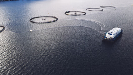 Salmon fish farming in Norway sea. Food industry, traditional craft production, environmental conservation. Aerial view of round mesh for growing and catching fish in arctic water surrounded by fjords