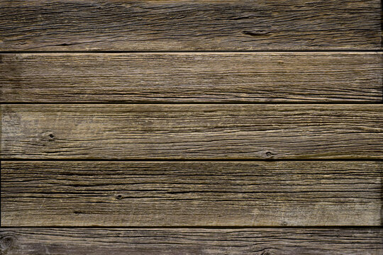 184 356 Best Woody Images Stock Photos Vectors Adobe Stock