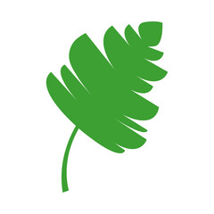 Jungle tropical green leaf, rainforest herbal element. Stock vector illustration isolated on white background. Can be used as an isolated sign, symbol or icon. Botanical plant flat vector illustration