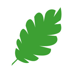 Jungle tropical green leaf, rainforest herbal element. Stock vector illustration isolated on white background. Can be used as an isolated sign, symbol or icon. Botanical plant flat vector illustration