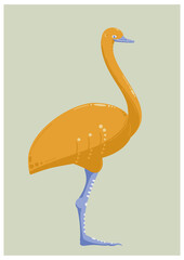 cute nandu illustration with copy space