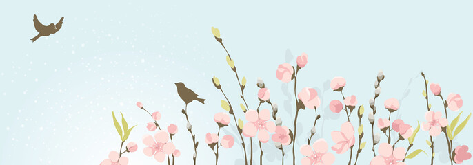 Spring banner. Willow and Cherry blossom. Vector illustration, background on the theme of flowering and spring.