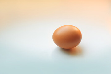 One brown egg on tender gradient background from sunny side to the shadow