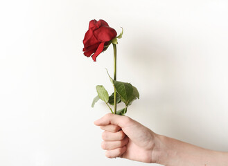 A faded flower as a symbol of the past youth and love. Love is gone, a bad gift.