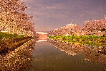 糸島市池田川河川敷の夜桜