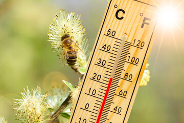 Thermometer zeigt warme Temperatur im Frühling