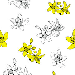 Botanical illustration.  Flower pattern. Seamless botanical pattern. Multicolor and black whit vector illustration