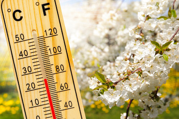 Thermometer zeigt warme Temperatur im Frühling