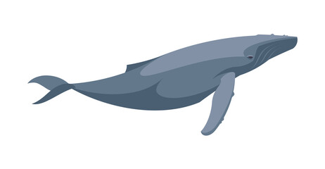 Flat blue whale. Vector illustration