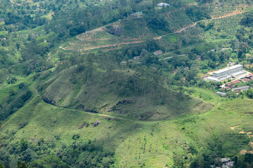 Demodara railway loop from the top