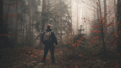 Podróżnik w zamglonym lesie. 