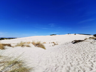 Fototapeta na wymiar landscape sand blue sky sand dunes