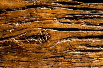 Macrofotografía. Textura de una tabla de madera