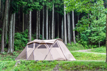 camping in the forest