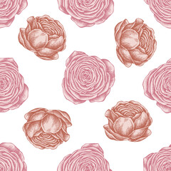 Seamless pattern with hand drawn pastel ranunculus