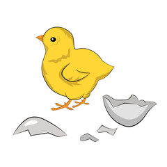 Color illustration of chicken and egg shells.. Poultry farm. Suitable for use in infographics, article designs, promotional materials, presentations, and for the Easter theme.