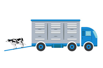 Truck for transporting livestock  with the image of a cow with a tag on the ear.  Colored illustration in blue and gray. Suitable for the design of articles, websites, on the agricultural topic.