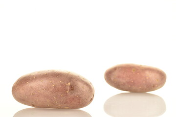 Two unpeeled raw potatoes, close-up, isolated on white.