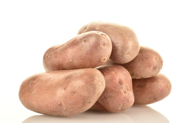 Several unpeeled raw potatoes, close-up, isolated on white.