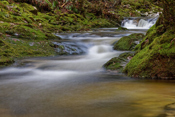 Ruisseau des Vosges