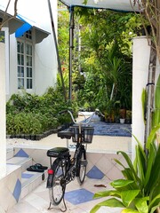 bicycle in the street
