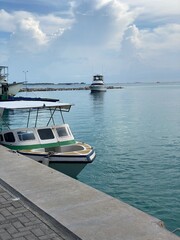boats on the dock