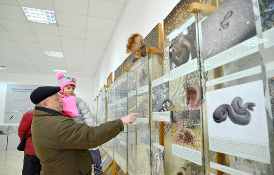 KALININGRAD REGION, RUSSIA. An elderly man shows his granddaughter photographs of animals in the nature hall. Visiting Center "Museum Complex of the Curonian Spit National Park"