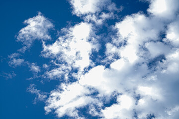 Fototapeta premium blue sky with clouds