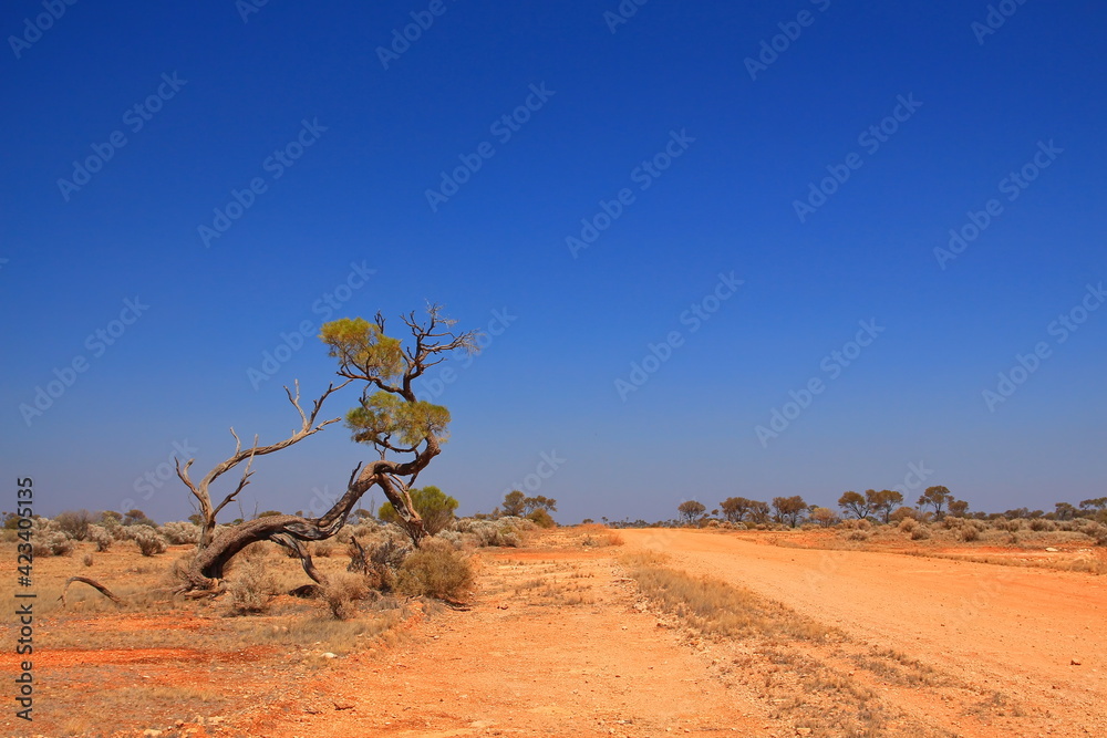 Wall mural Australian outback wilderness and remoteness