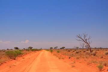 Fototapeta premium Australian outback wilderness and remoteness