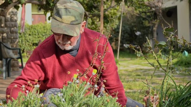uomo anziano cura il giardino nel tempo libero