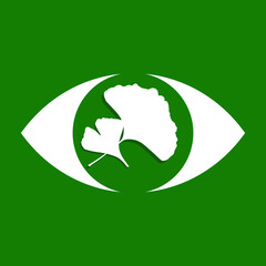 Eye and ginkgo leaves icons vector illustration, Ginkgo biloba leaves