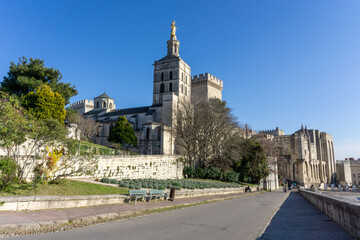view of the historic Palais du Pape in Avignon
