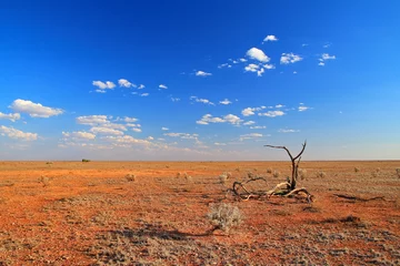 Foto op Canvas Australian outback wilderness and remoteness © totajla