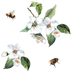 Jasmine flowers, cherries on the branches with buds, green leaves, flying bumblebees and bees. Hand drawn watercolor painting on white background for design of postcards, fabrics, packaging, wallpaper