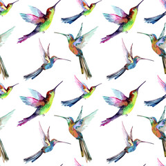 Seamless pattern with flying small tropical hummingbirds. Hand drawn watercolor painting on white background for fabric design, wallpaper, textile, packaging, print. © Pavla aquarelle