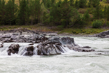 A close-up of a fast-flowing mountain river Katun with a large rock in the middle is a dangerous obstacle in the path of rafting rafters. Nature and water.