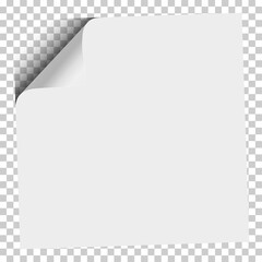 Vector white sheet of office paper with curled upper left corner.